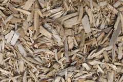 biomass boilers White Grit
